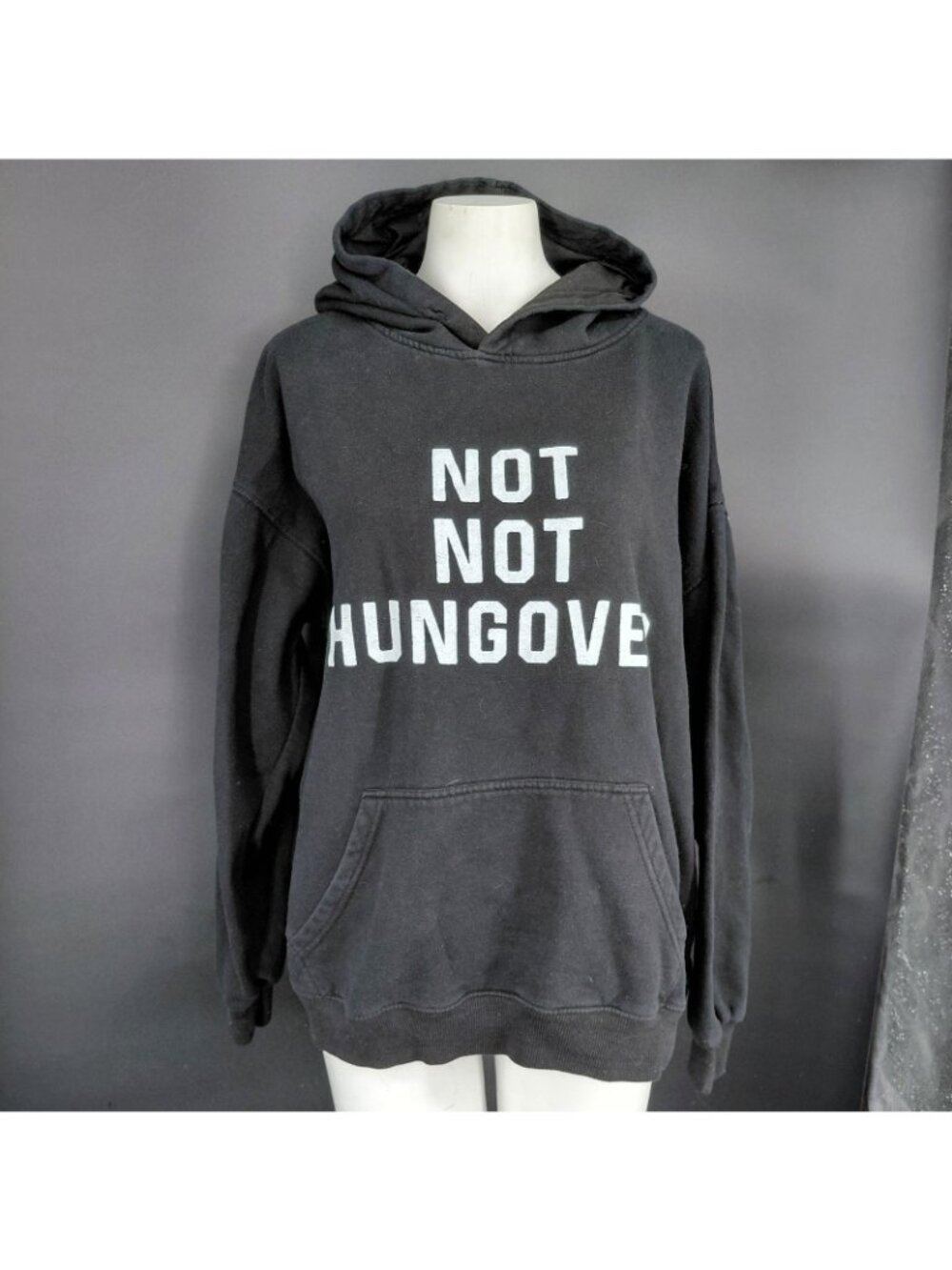 A$$holes Live Forever Hoodie Sweatshirt Mens Large Black Not Not Hungover Funny - Picture 2 of 9